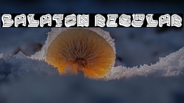 Balaton Regular Example 2