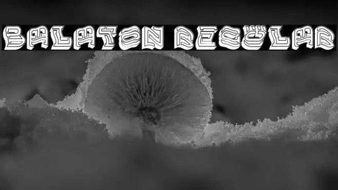 Balaton Regular Example 2