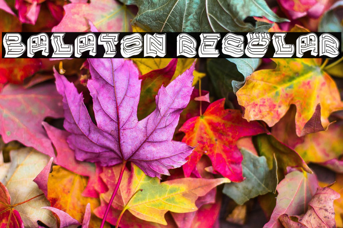 Balaton Regular Example 3