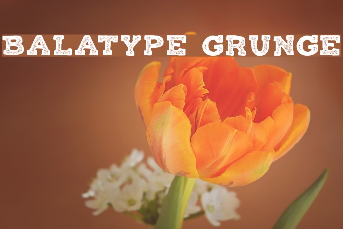 Balatype Grunge Font examples