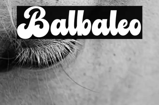 Balbaleo Font examples