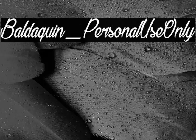 Baldaquin_PersonalUseOnly Example 2
