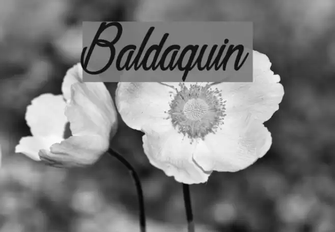 Baldaquin Font examples