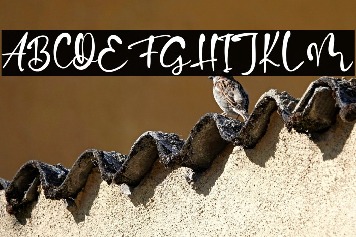 Balderston Example 3