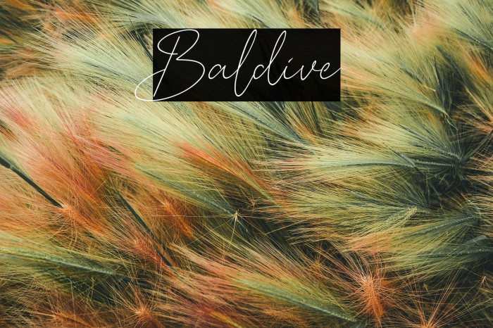 Baldive Example 1