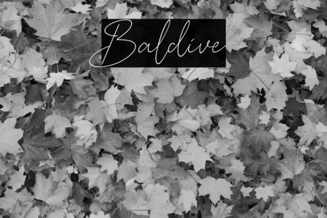 Baldive Example 2