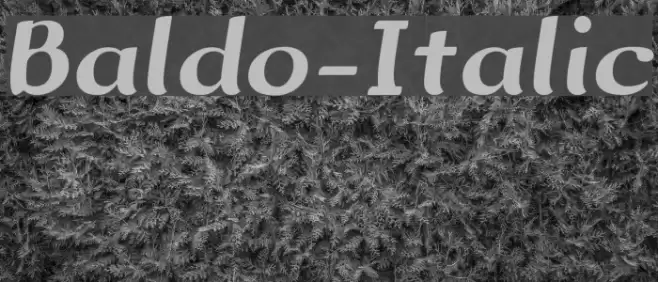 Baldo-Italic Font examples