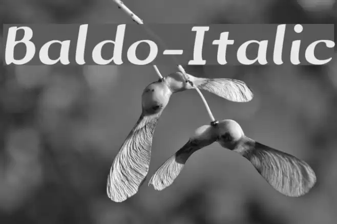 Baldo-Italic Font examples