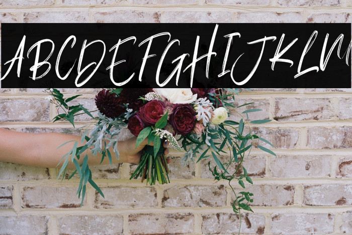 Balecimo Personal Use Regular Example 2