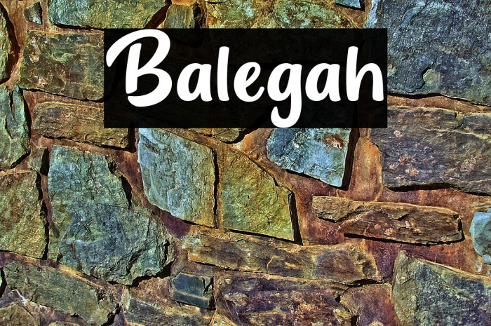 Balegah Example 2
