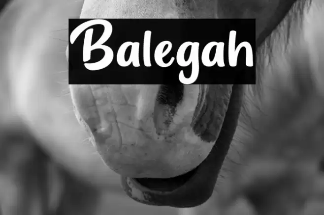 Balegah Font examples