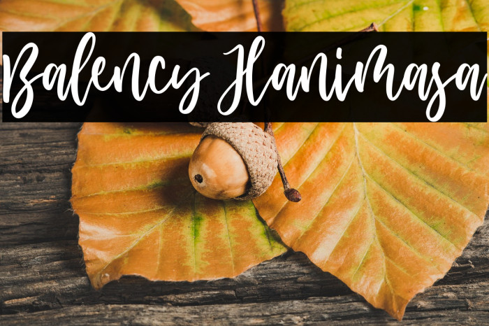 Balency Hanimasa Example 1