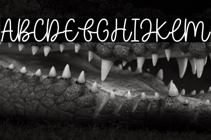 Baleno Handi Example 2