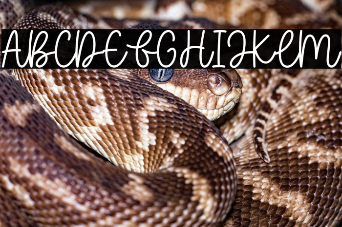 Baleno Handi Example 3