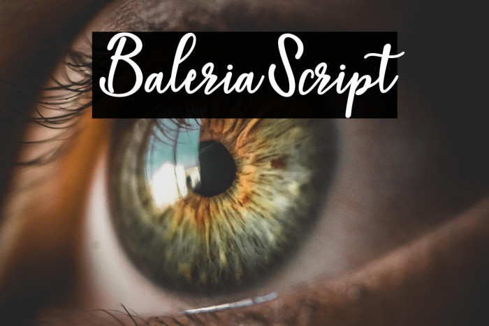 BaleriaScript Example 3