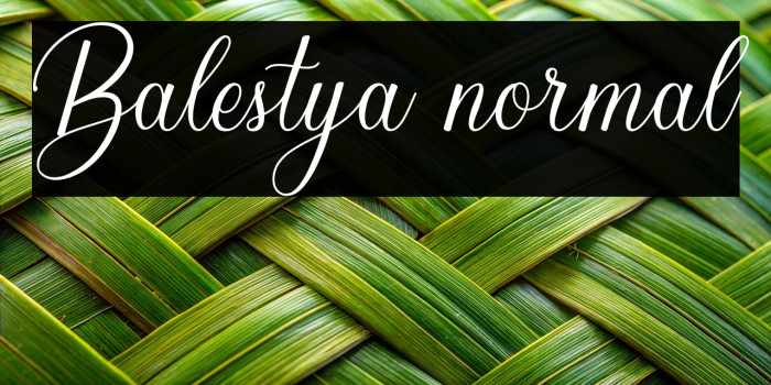 Balestya normal Example 1