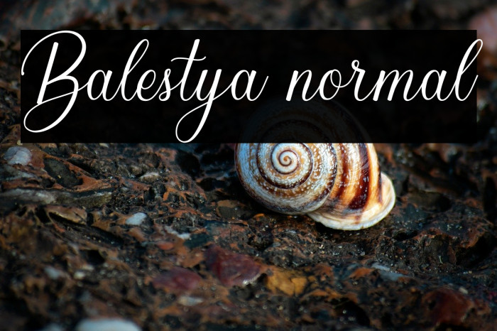 Balestya normal Example 2