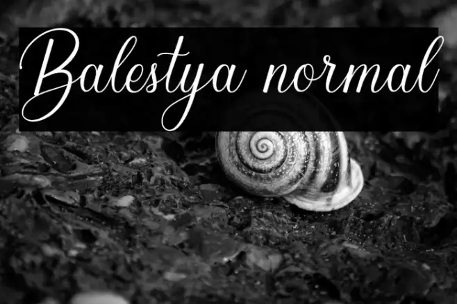 Balestya normal Example 2