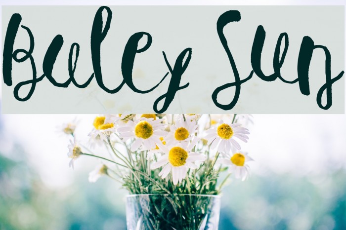 Baley Sun Font examples