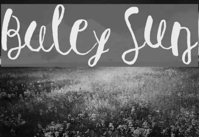 Baley Sun フォント examples