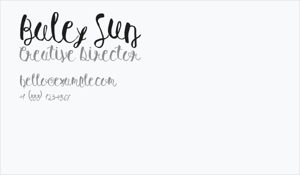 Baley Sun Business Card