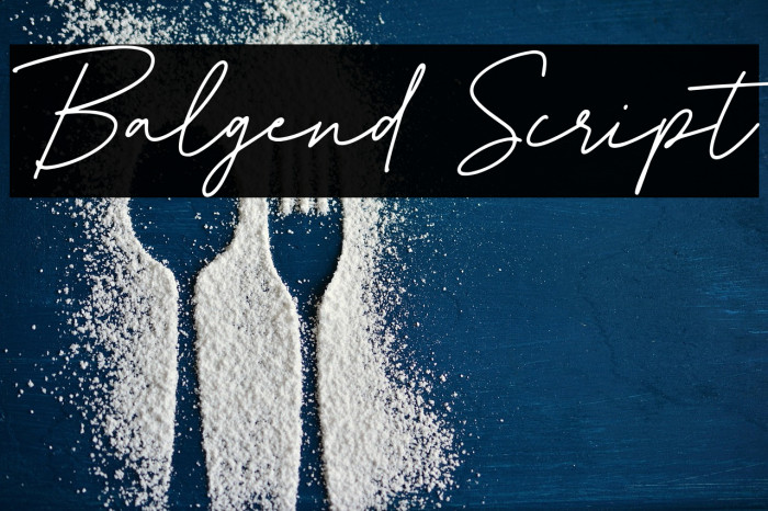 Balgend Script Font examples