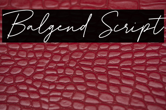 Balgend Script Font examples
