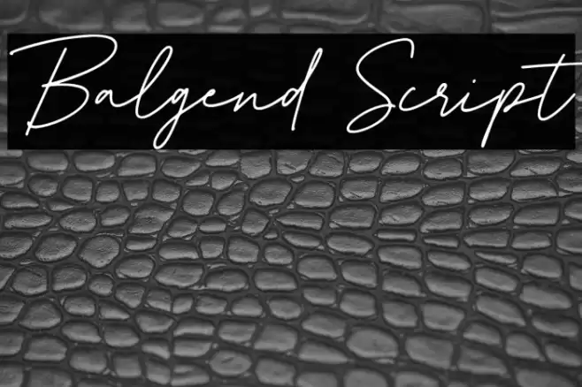 Balgend Script Schriftart examples