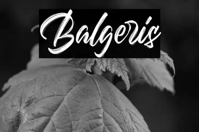 Balgeris Font examples