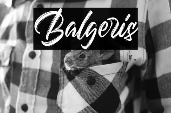 Balgeris Font examples