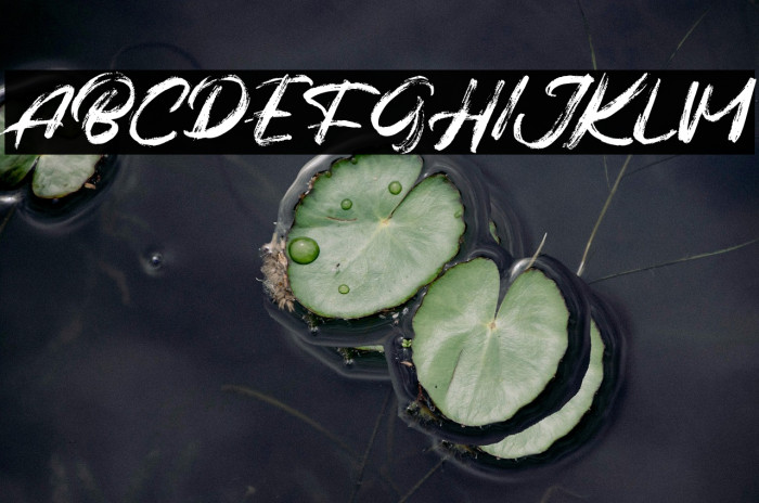 BalgesFREE Example 2