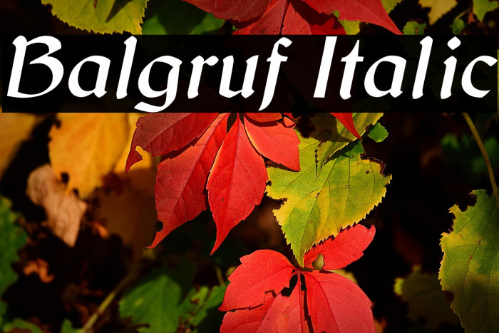 Balgruf Italic Example 1