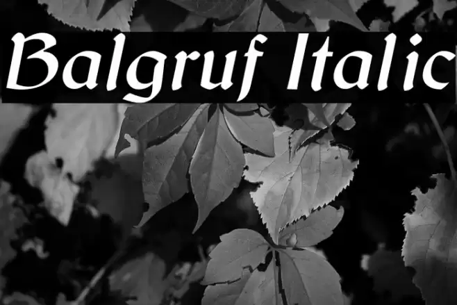 Balgruf Italic Font examples