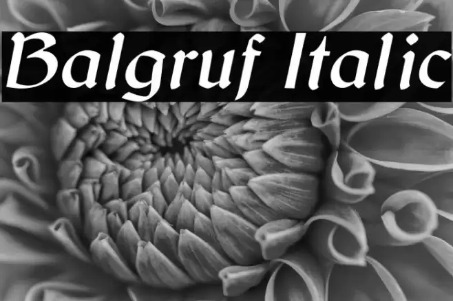 Balgruf Italic Font examples