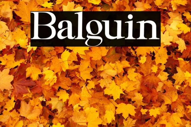 Balguin Example 3
