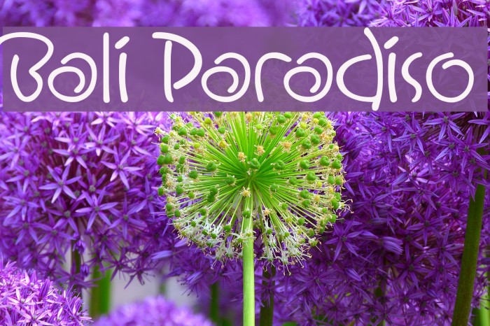 Bali Paradiso Font examples