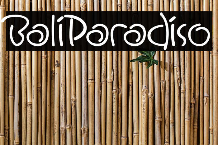 BaliParadiso フォント examples