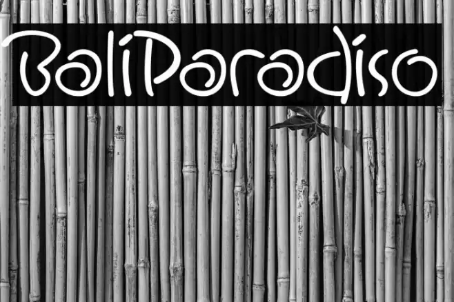 BaliParadiso Polices examples