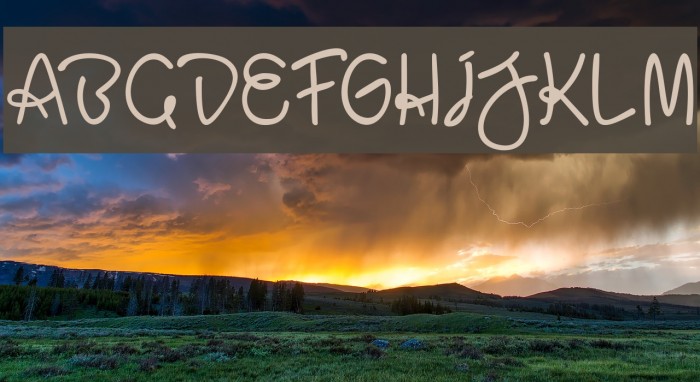 BaliParadiso Example 1