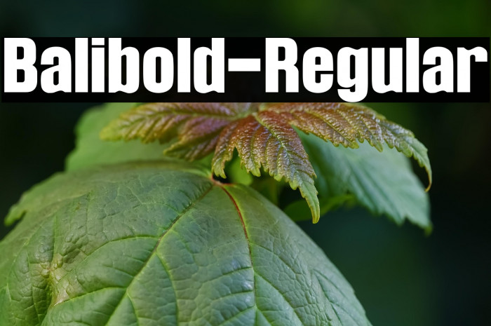 Balibold-Regular Example 3