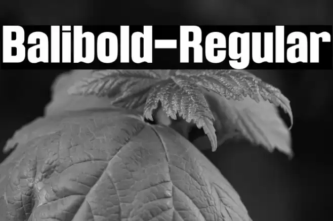 Balibold-Regular Font examples