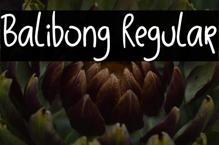 Balibong Regular Example 2