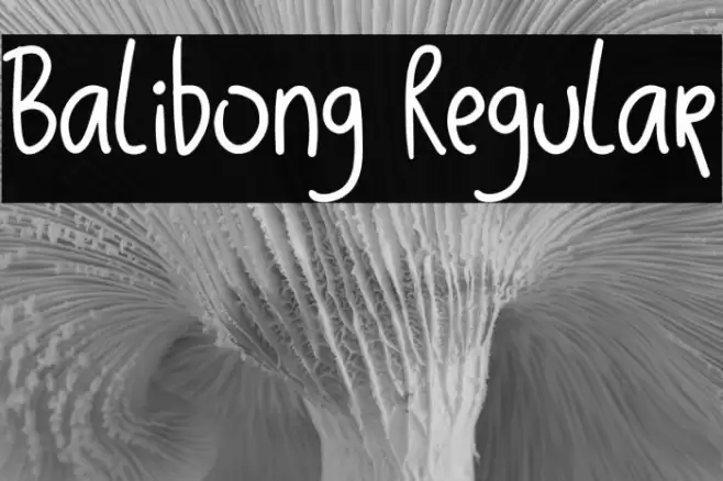 Balibong Regular Font examples