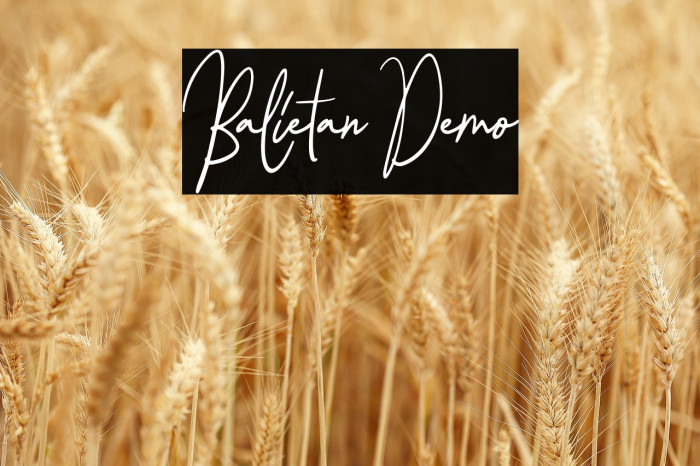 Balietan Demo Example 3