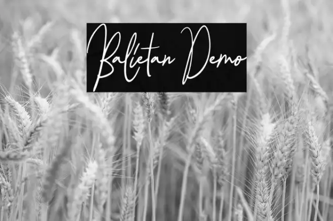 Balietan Demo Example 3