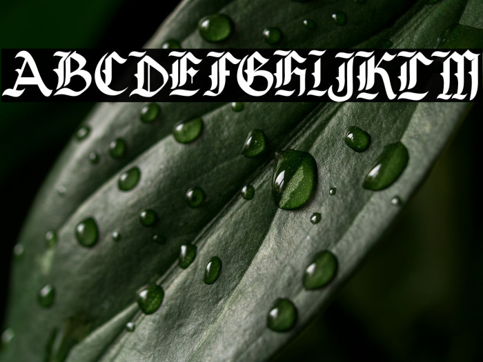 BaligaBlackletter Example 3