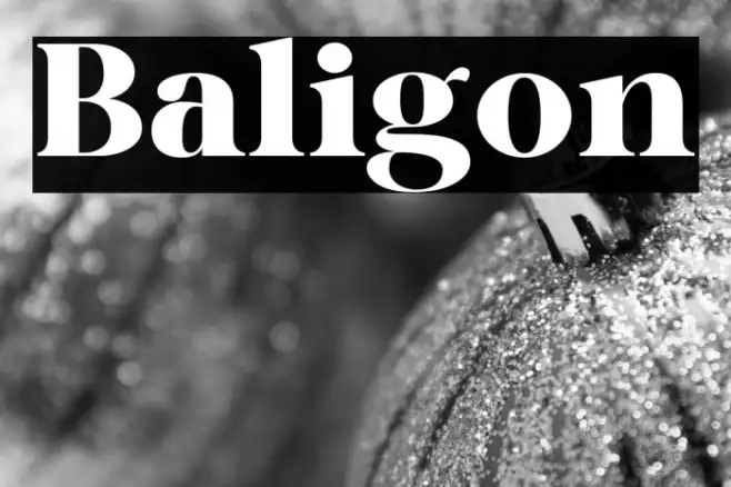 Baligon Example 1