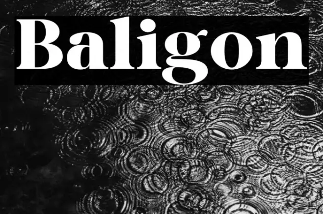 Baligon Example 3