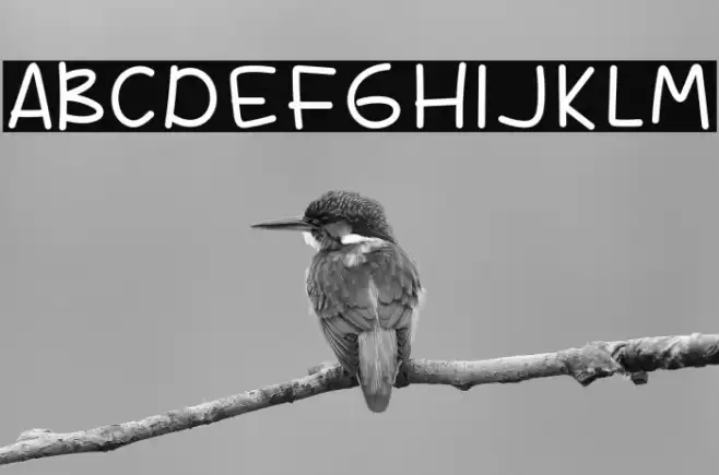 Baliho Font examples