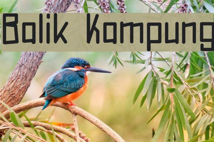 Balik Kampung Font examples